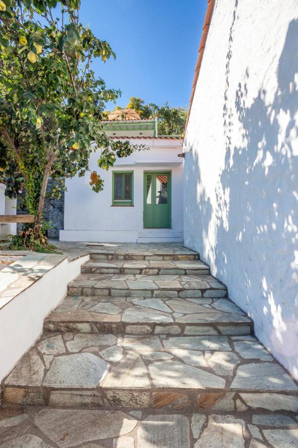 Olea Skopelos Villas With Swimming Pools & Sea View Panormos  Ngoại thất bức ảnh