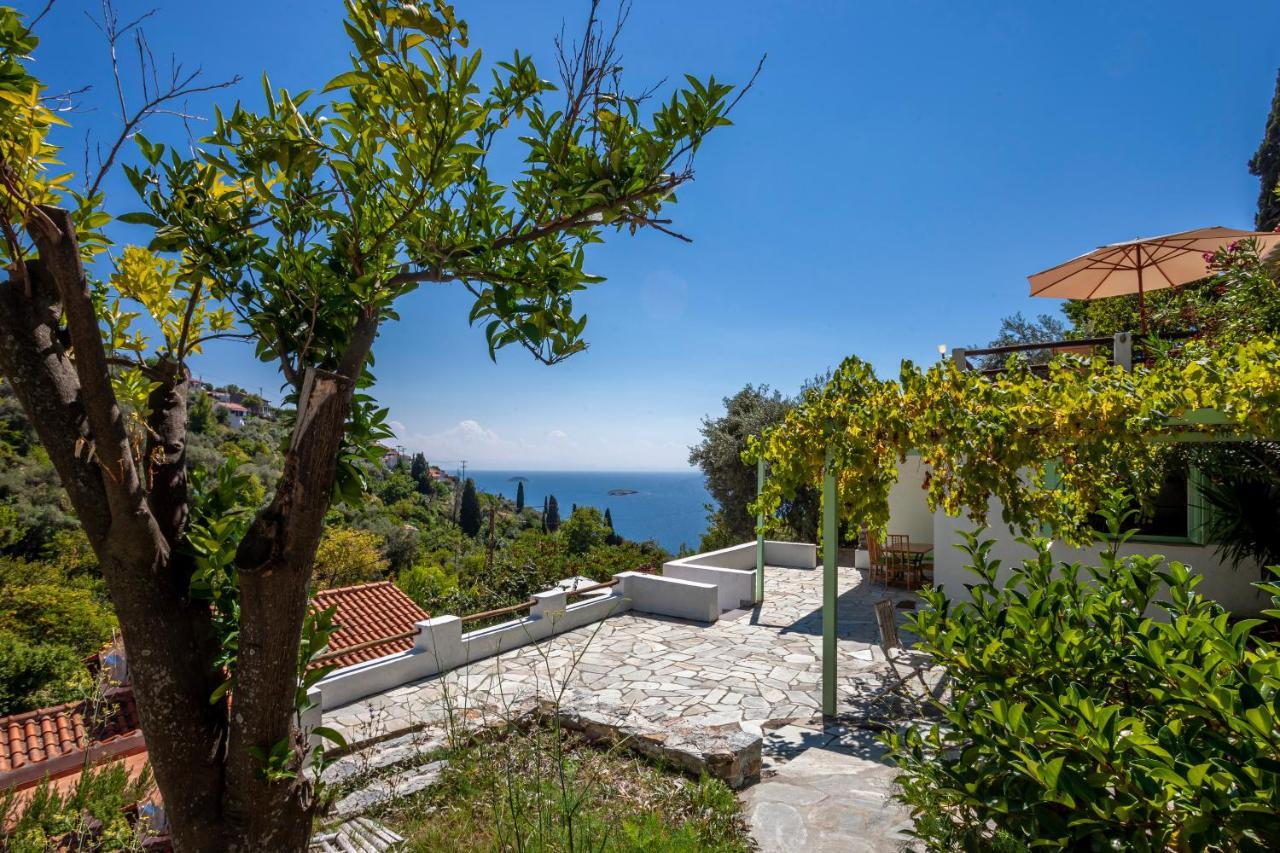 Olea Skopelos Villas With Swimming Pools & Sea View Panormos  Ngoại thất bức ảnh
