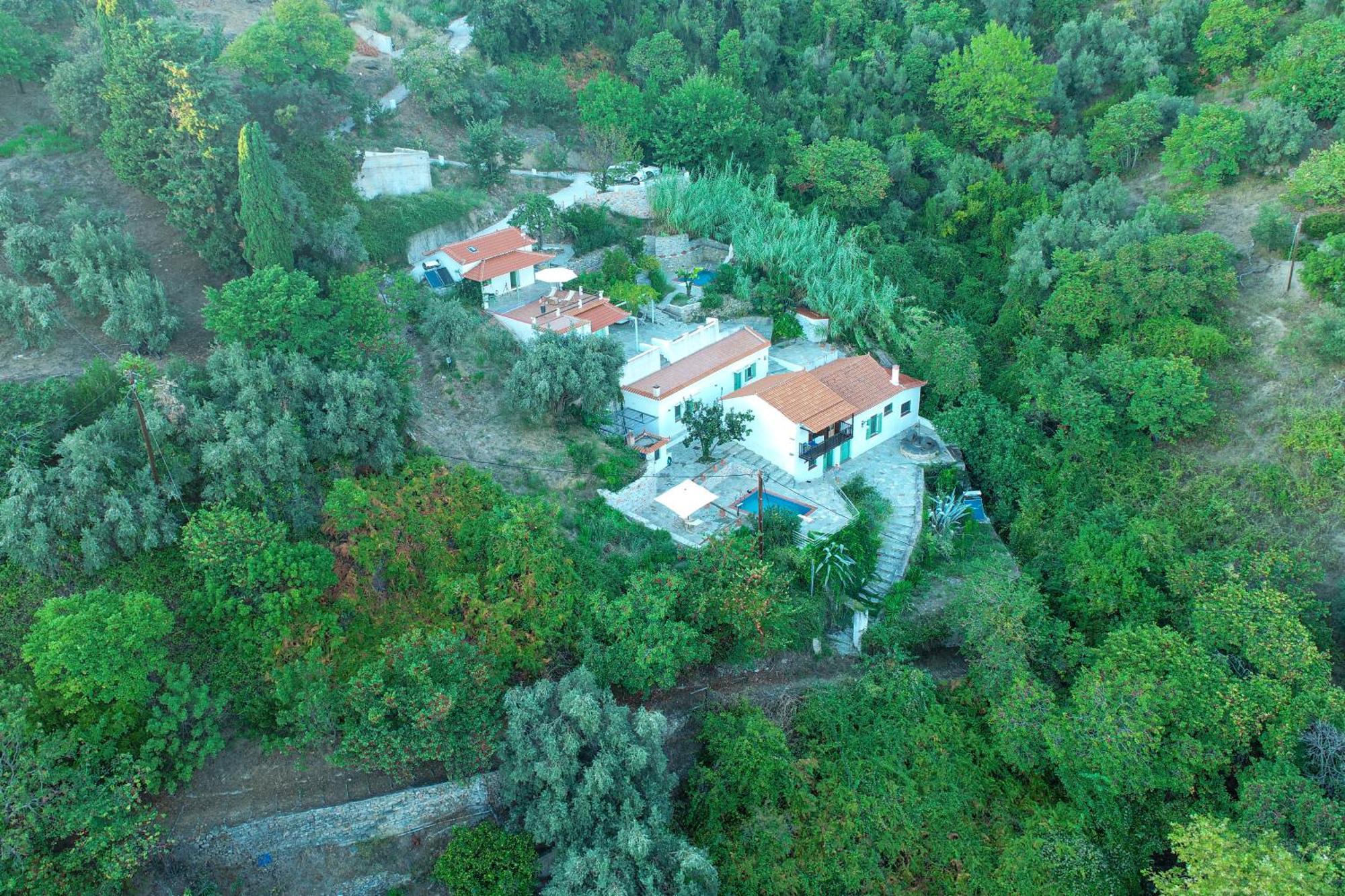 Olea Skopelos Villas With Swimming Pools & Sea View Panormos  Ngoại thất bức ảnh